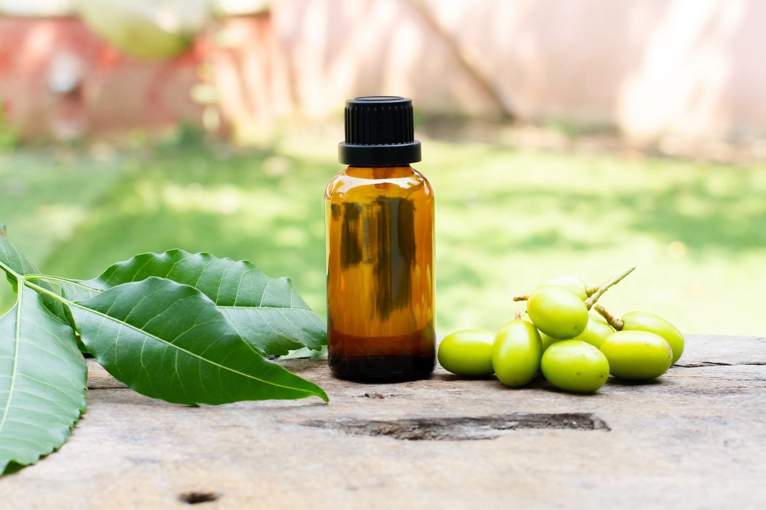 Neem Oil Canada